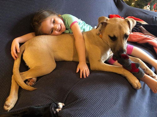 girl and dog snuggle together